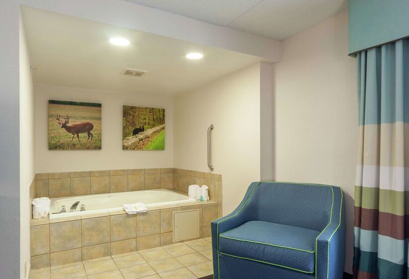 酒店 Hampton Inn Front Royal