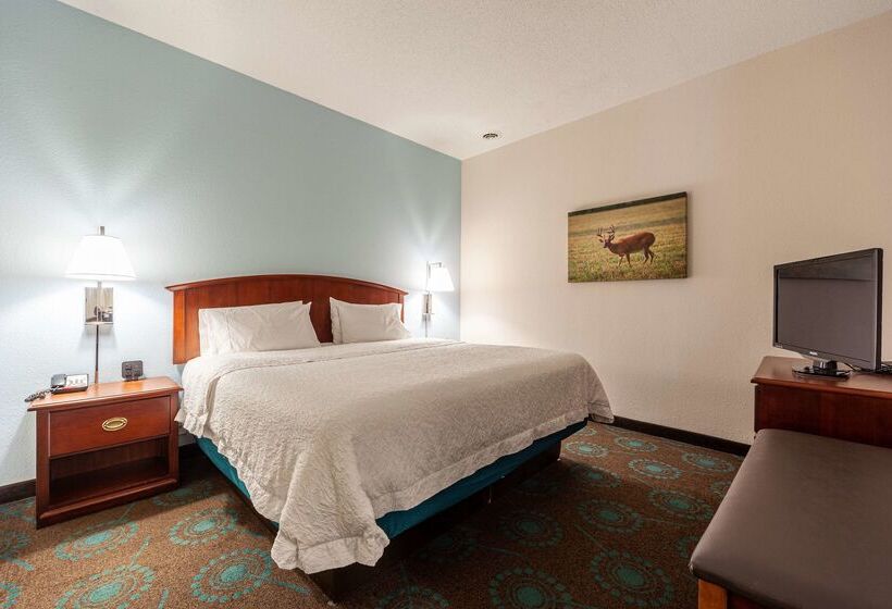 בית מלון כפרי Hampton Inn Front Royal