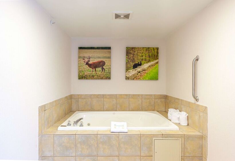 ホテル Hampton Inn Front Royal