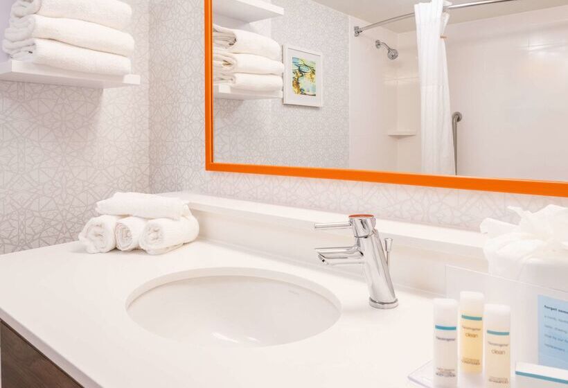 בית מלון כפרי Hampton Inn Gainesville