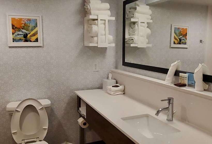 فندق Hampton Inn Hillsville