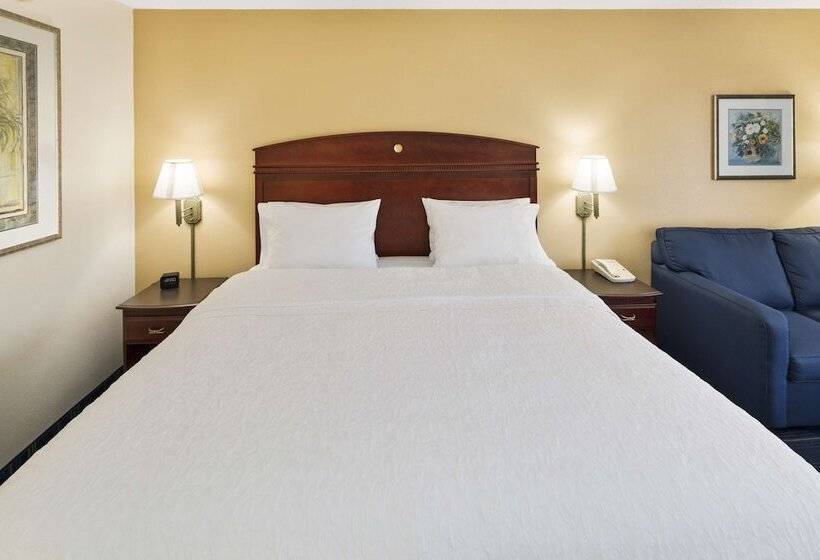 فندق Hampton Inn Hinesville