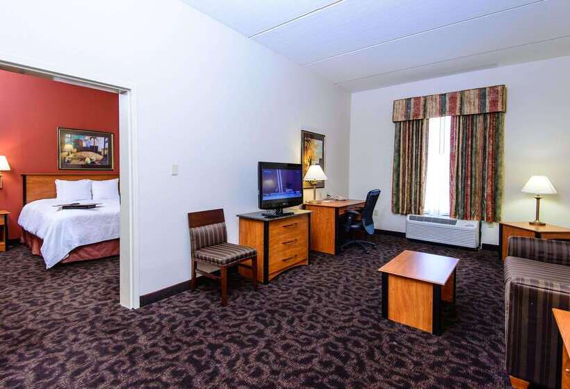 هتل Hampton Inn Houstonpearland