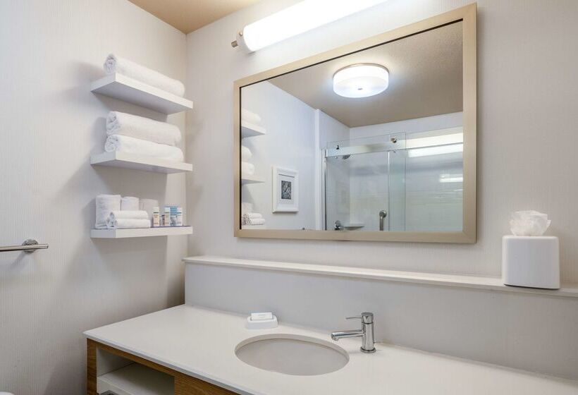 فندق Hampton Inn By Hilton Irvine East   Lake Forest