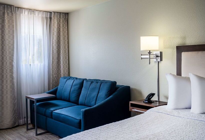 فندق Hampton Inn By Hilton Irvine East   Lake Forest