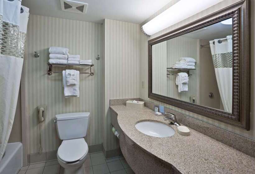 فندق Hampton Inn Ithaca