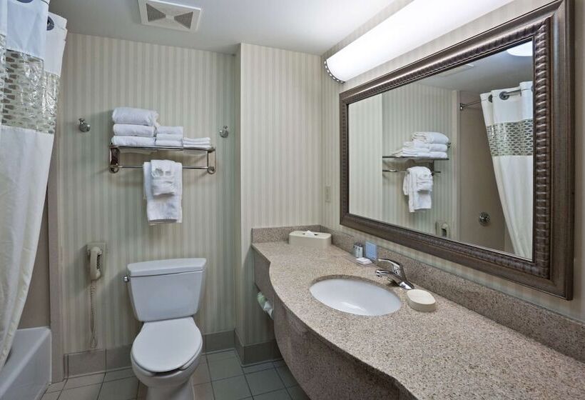 فندق Hampton Inn Ithaca