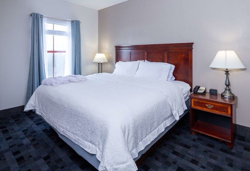 فندق Hampton Inn Lawrenceville Duluth