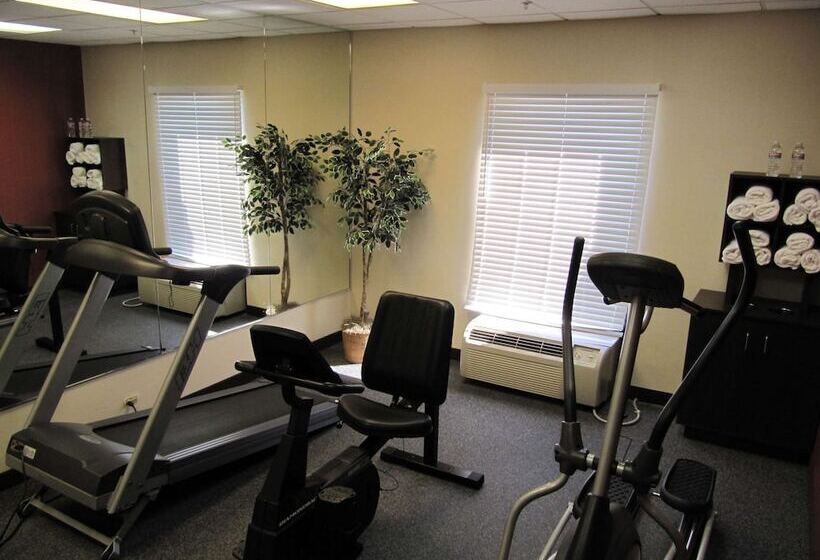 ホテル Hampton Inn Lindale/tyler