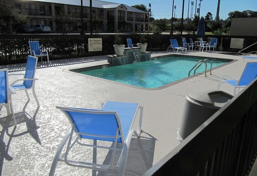 ホテル Hampton Inn Lindale/tyler