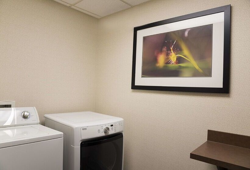 Отель Hampton Inn Mt. Pleasant