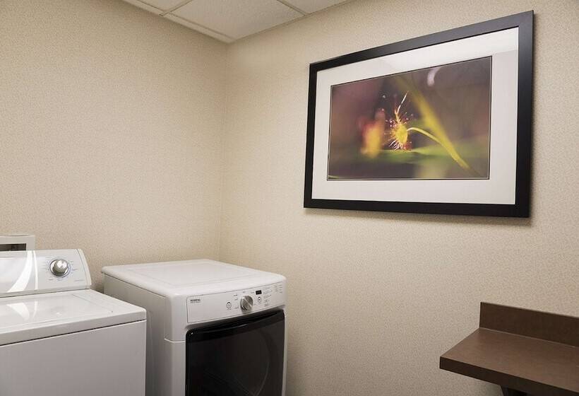 Отель Hampton Inn Mt. Pleasant