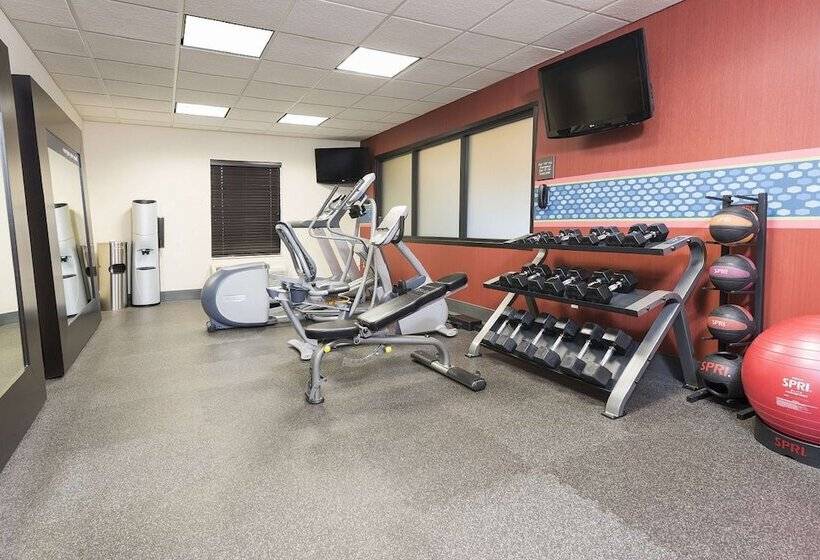 Отель Hampton Inn Mt. Pleasant