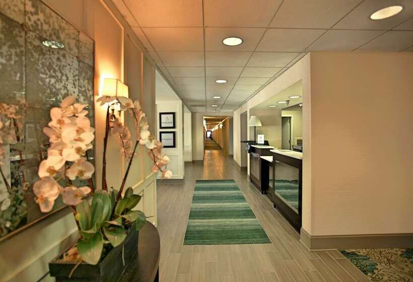 فندق Hampton Inn Natchitoches