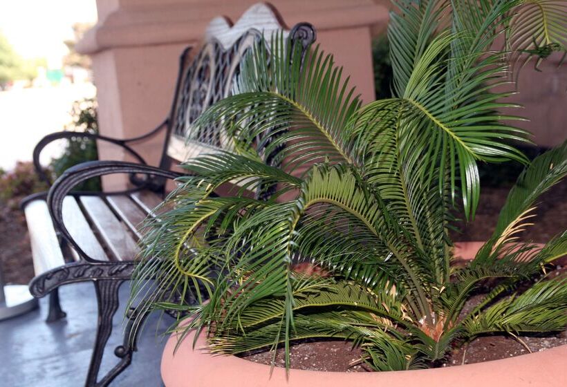 호텔 Hampton Inn Newport Newsyorktown