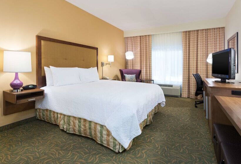 ホテル Hampton Inn By Hilton Odessa