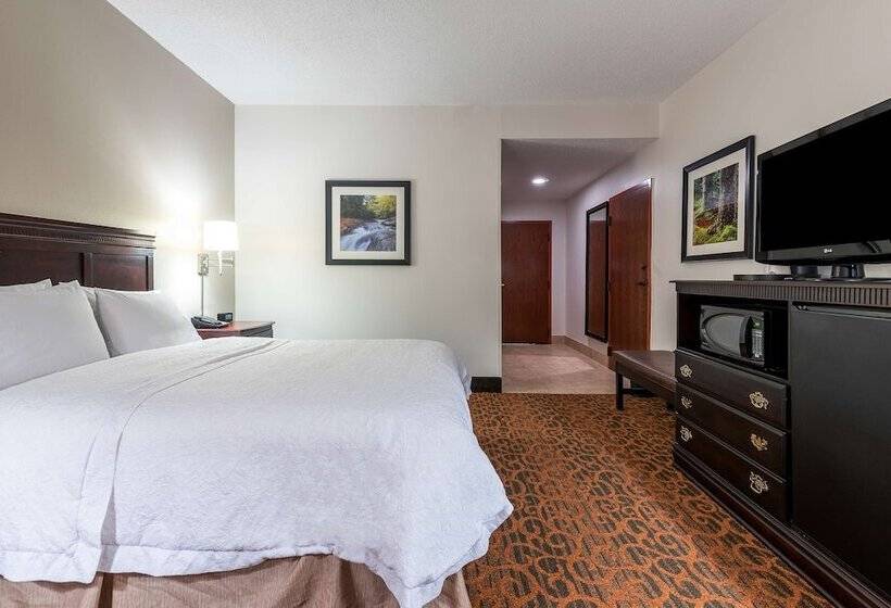 ホテル Hampton Inn Parkersburgmineral Wells