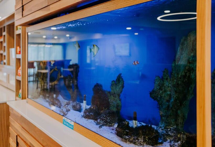 Отель Hampton Inn Rehoboth Beach