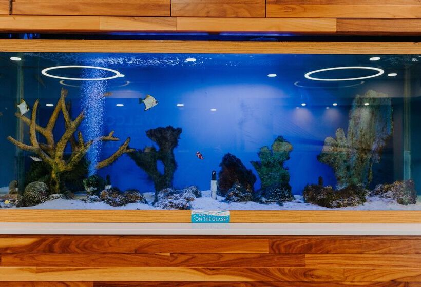 Отель Hampton Inn Rehoboth Beach