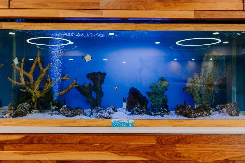 فندق Hampton Inn Rehoboth Beach