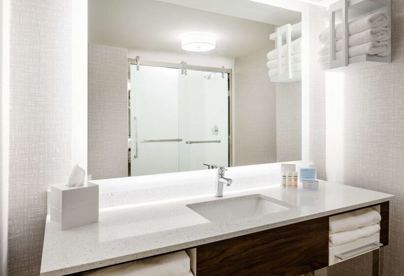 酒店 Hampton Inn Richmondmidlothian Turnpike