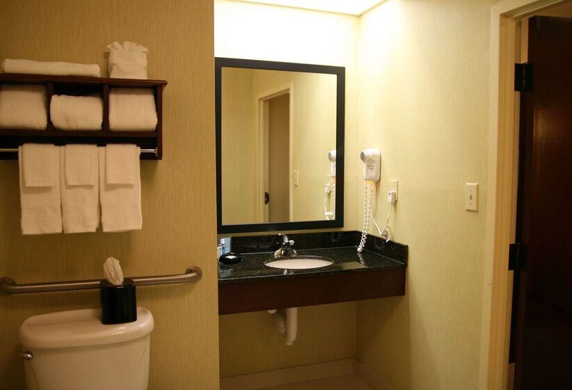 酒店 Hampton Inn Richmondmidlothian Turnpike