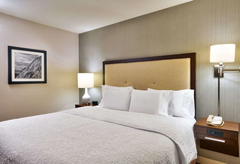 فندق Hampton Inn Salt Lake City Central