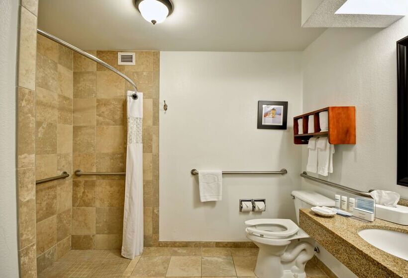 فندق Hampton Inn Sarasota  I75 Bee Ridge