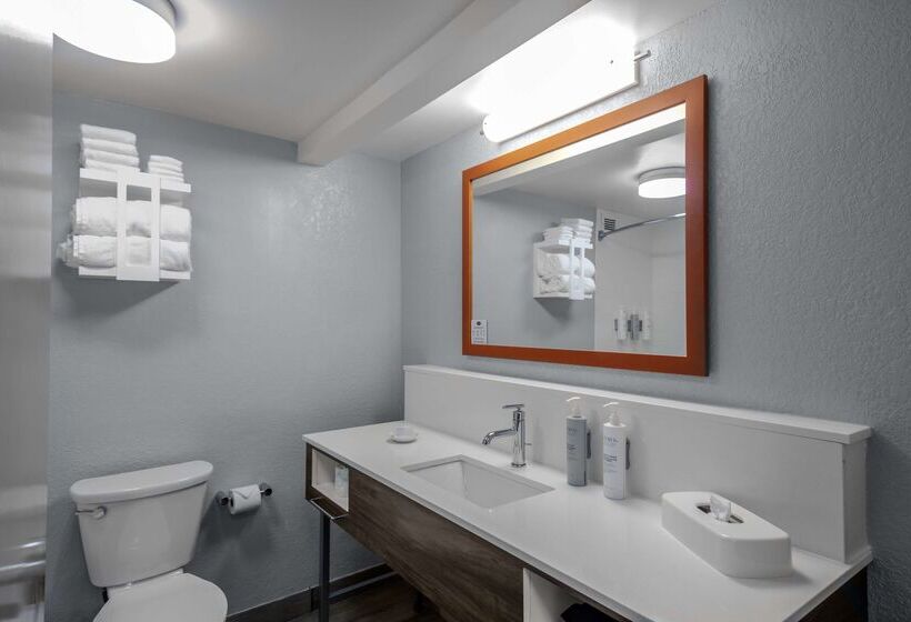 فندق Hampton Inn Sarasota  I75 Bee Ridge