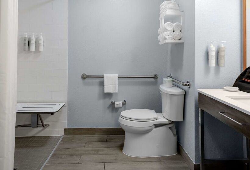 فندق Hampton Inn Sarasota  I75 Bee Ridge