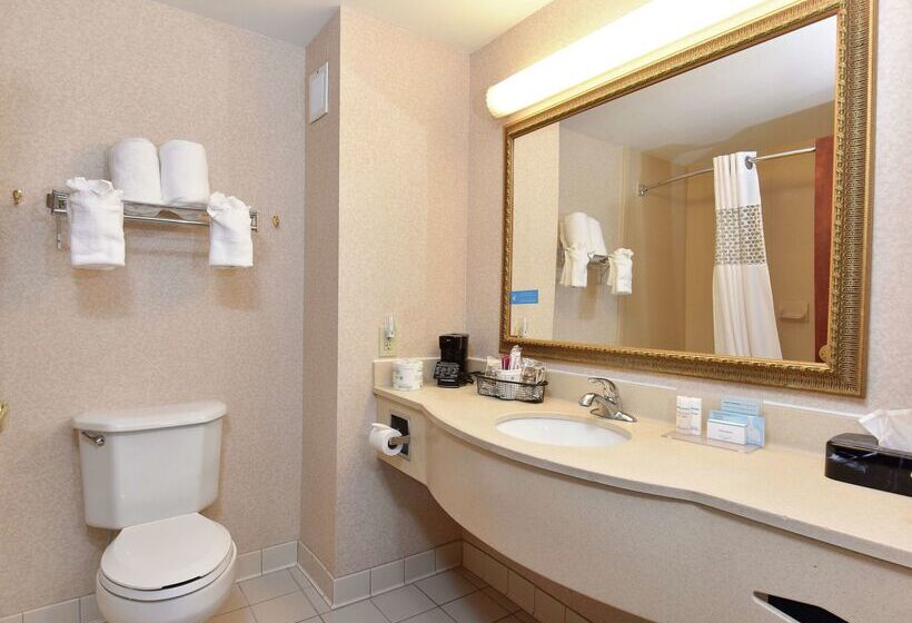 فندق Hampton Inn Selma