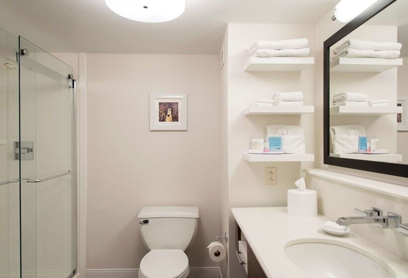 فندق Hampton Inn Seymour