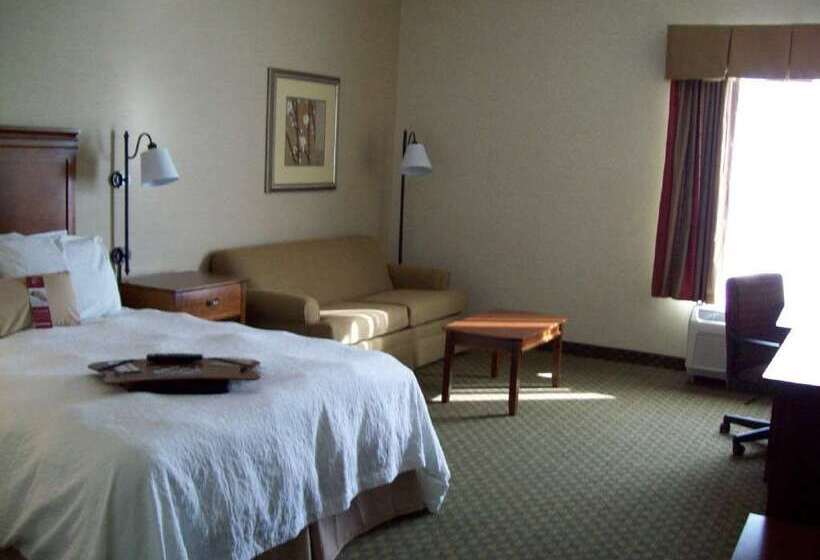 ホテル Hampton Inn Sidney