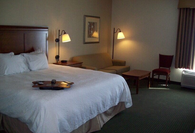 ホテル Hampton Inn Sidney