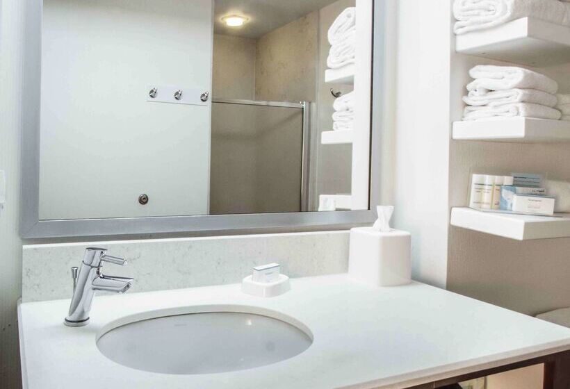 فندق Hampton Inn South Haven