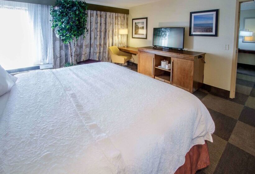 فندق Hampton Inn South Haven