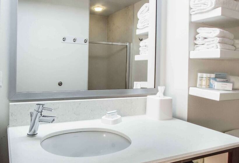 فندق Hampton Inn South Haven