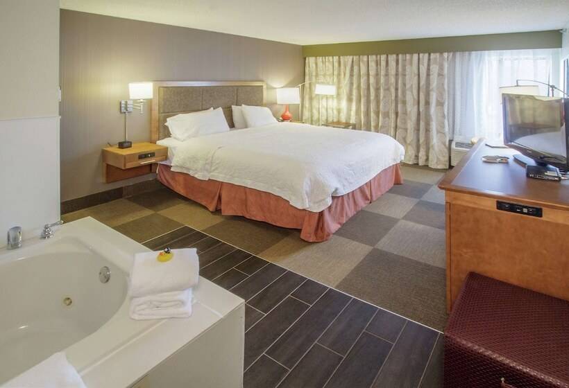 فندق Hampton Inn South Haven