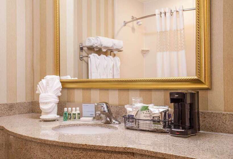 فندق Hampton Inn & Suites Addison