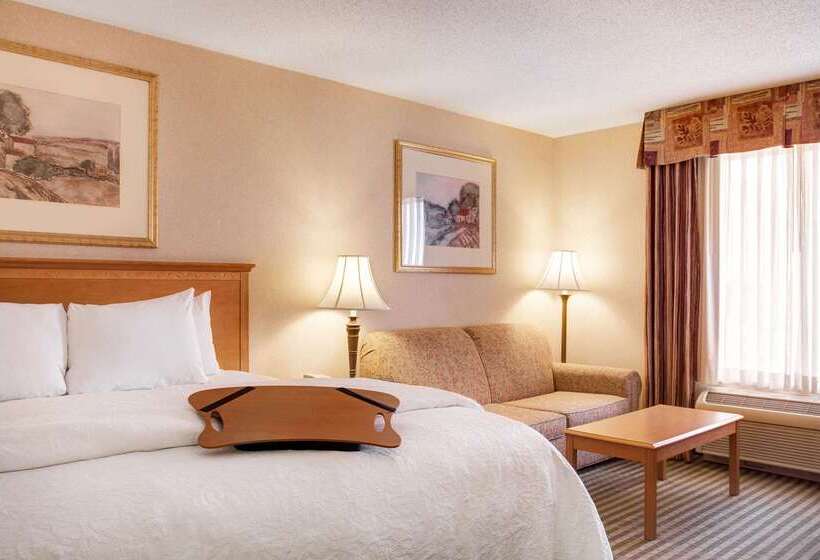 فندق Hampton Inn & Suites Addison