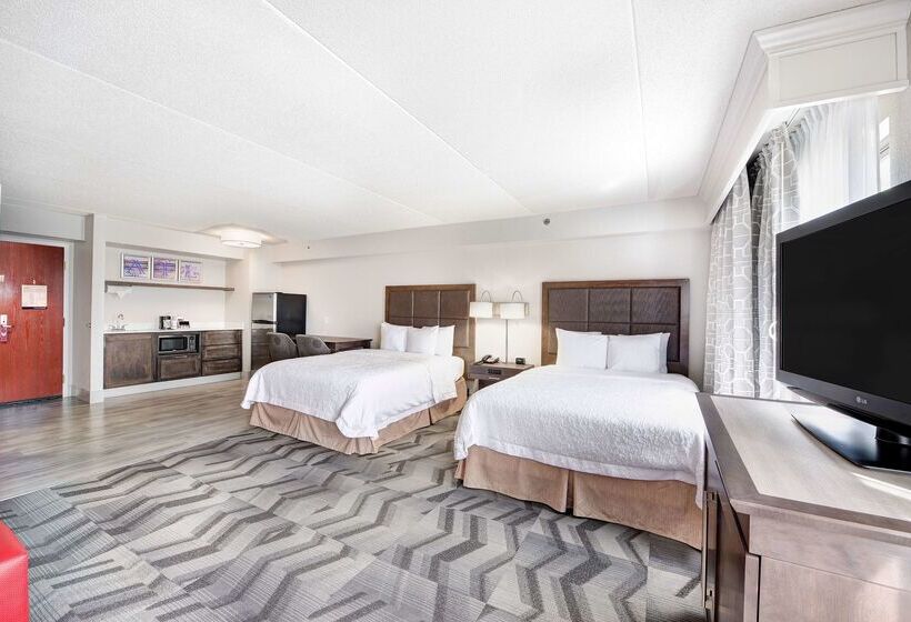 فندق Hampton Inn & Suites Atlantagalleria