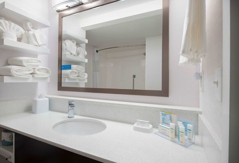 فندق Hampton Inn & Suites Atlantagalleria