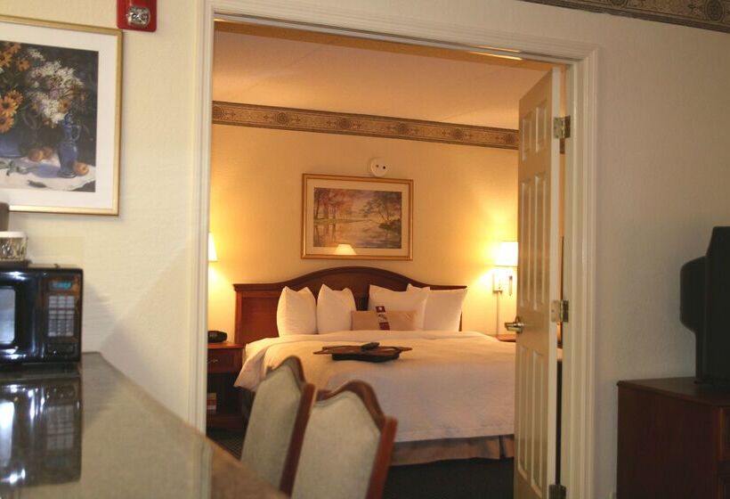 فندق Hampton Inn & Suites Atlantagalleria