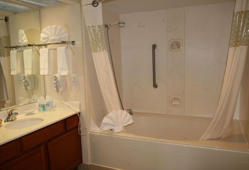 هتل Hampton Inn & Suites Atlantagalleria