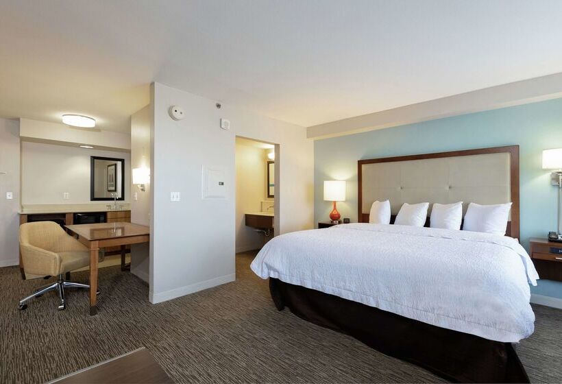 هتل Hampton Inn & Suites Austinairport
