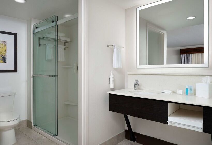 בית מלון כפרי Hampton Inn & Suites Austindowntown/convention Center