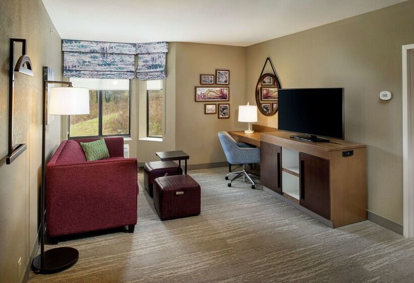 호텔 Hampton Inn & Suites Binghamton/vestal