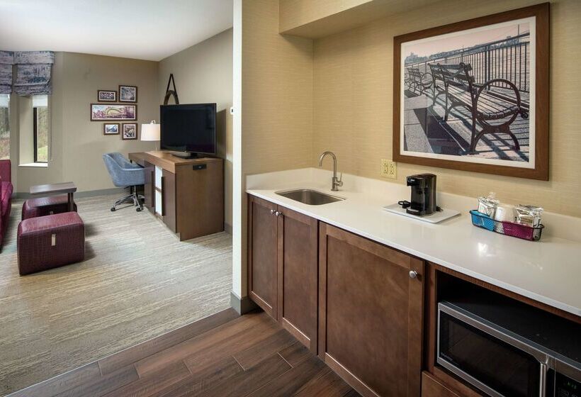 酒店 Hampton Inn & Suites Binghamton/vestal