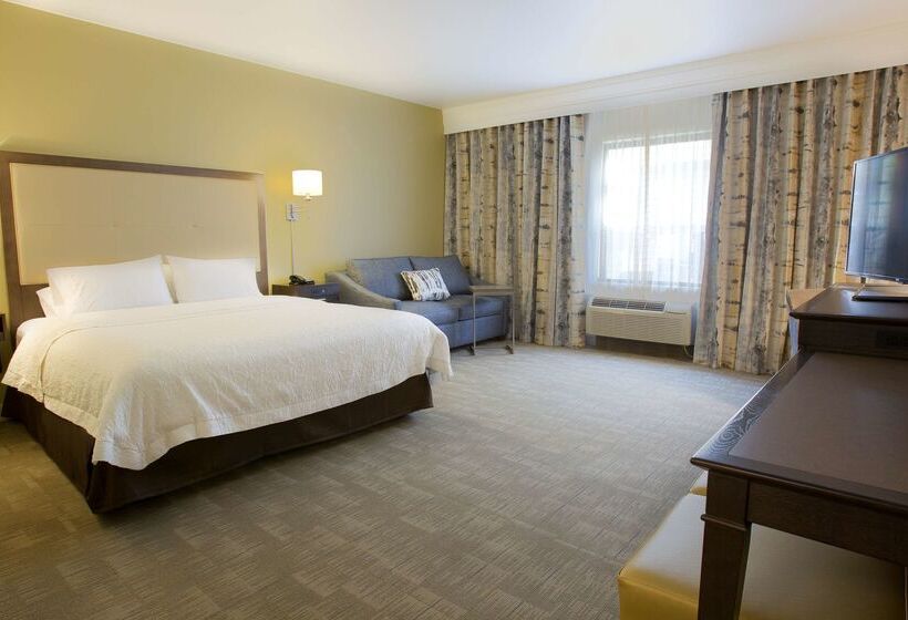 בית מלון כפרי Hampton Inn & Suites Boise/nampa At The Idaho Center