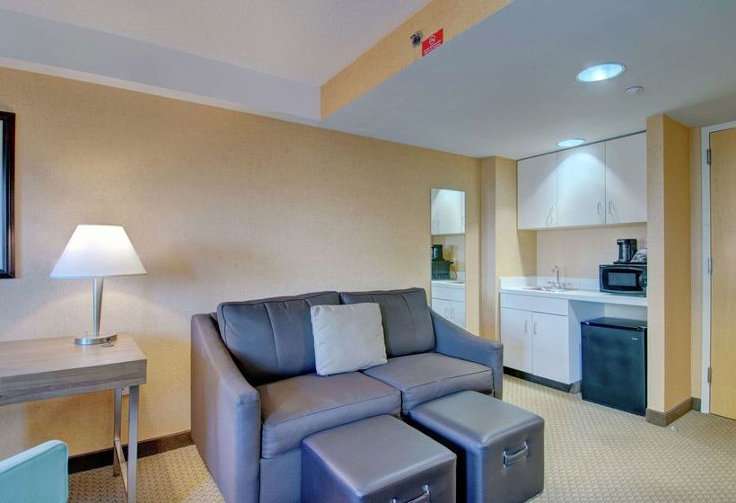 ホテル Hampton Inn & Suites Boston Crosstown Center